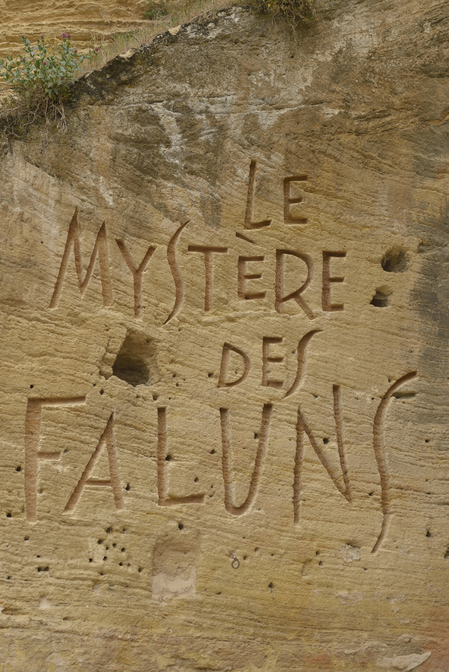 mystère des faluns1